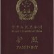 China epassport